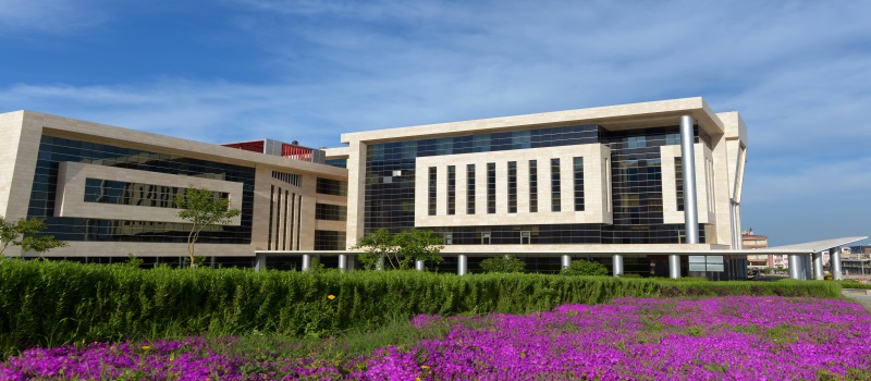 Hatay Mustafa Kemal Üniversitesi Akademik Kadro İlanı